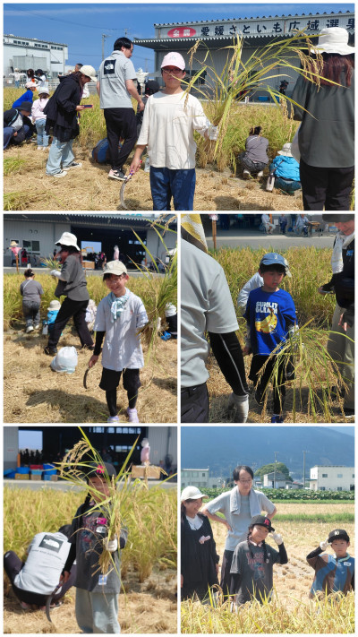 20260822_154357-COLLAGE