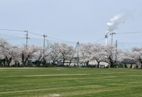 IMG_5441