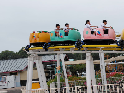 517